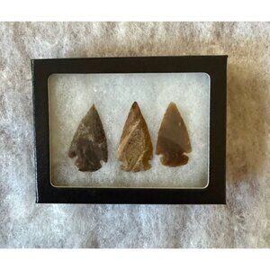 Arrowhead Collection In Display Box #19